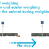 Dynamic Weighing operation