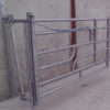 calving_gate_2