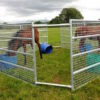 horse_feeder_3