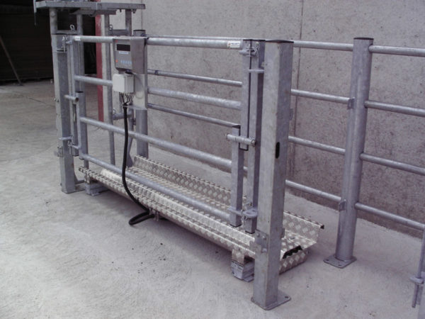 platform_scales_1