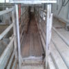 platform_scales_5