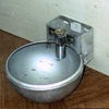 puss_bowl_3