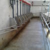 rump_rails_8