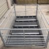 sheep_footbath_3