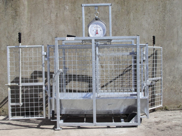 weighing_scales_1