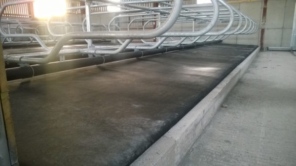 cow_mat_1