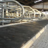 cow_mat_3