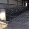 cow_mat_4