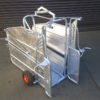 dehorning_crate_11