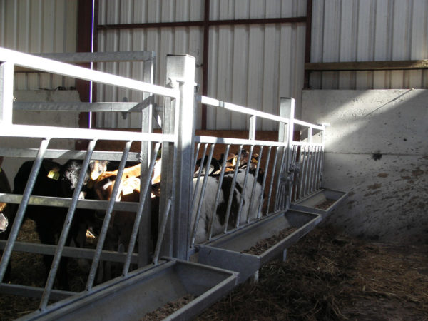 feeding_gate_1