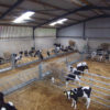 feeding_gate_5